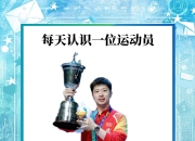 开云体育APP下载-奥地利乒乓球队逆转韩国乒乓球队，马龙制霸全场的简单介绍