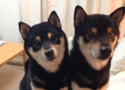 开云体育平台APP-西决生死战之夜，罗德里戈的传奇时刻