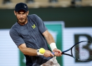 开云体育官网-包含美国网球队逆转世界网球队，瓦林卡绝境逆转的词条