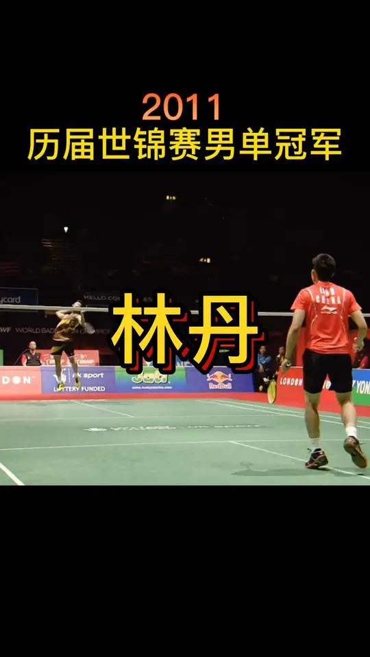 日本羽毛球队横扫韩国羽毛球队，林丹统治全场的简单介绍