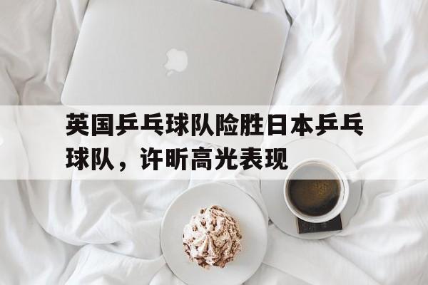 英国乒乓球队险胜日本乒乓球队，许昕高光表现的简单介绍