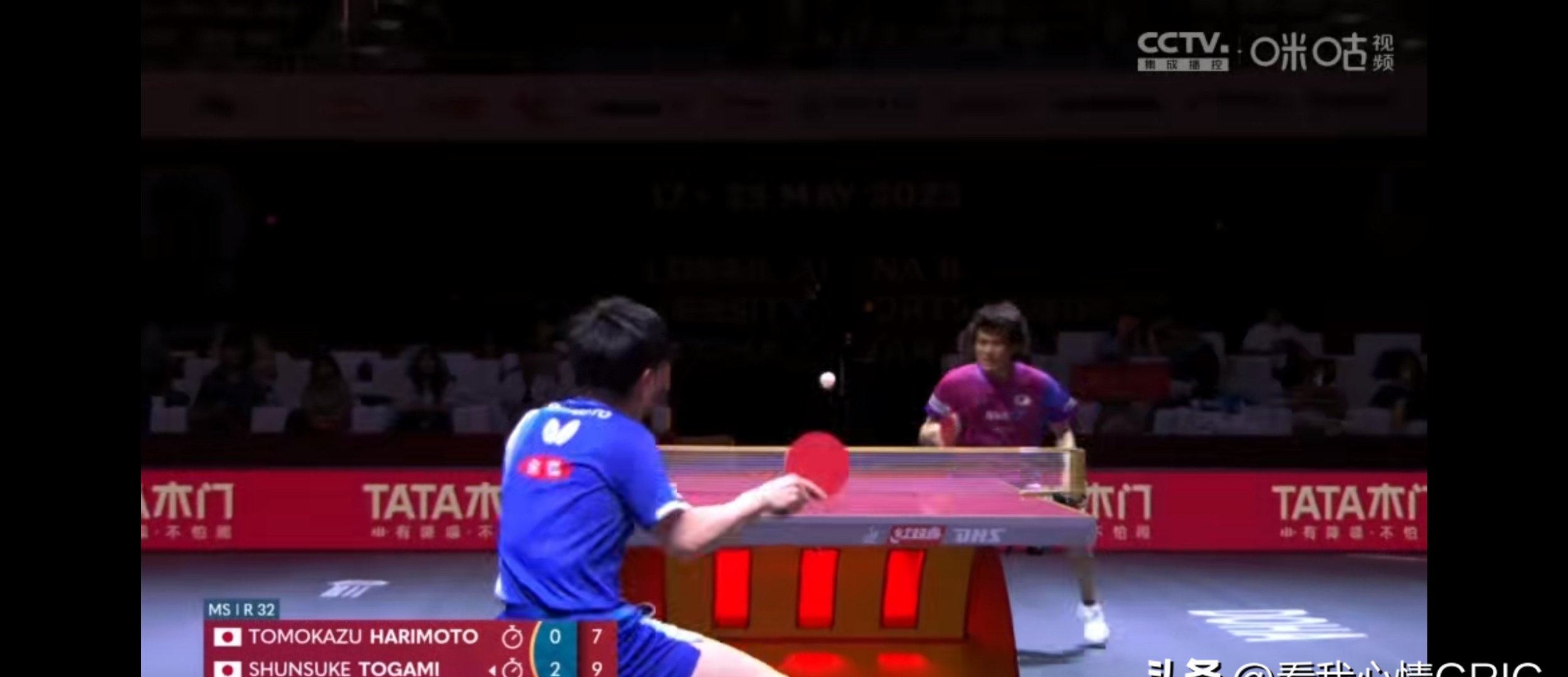 包含波兰乒乓球队险胜奥地利乒乓球队,张本智和统治全场的词条 包含波兰乒乓球队险胜奥地利乒乓球队,张本智和统治全场的词条