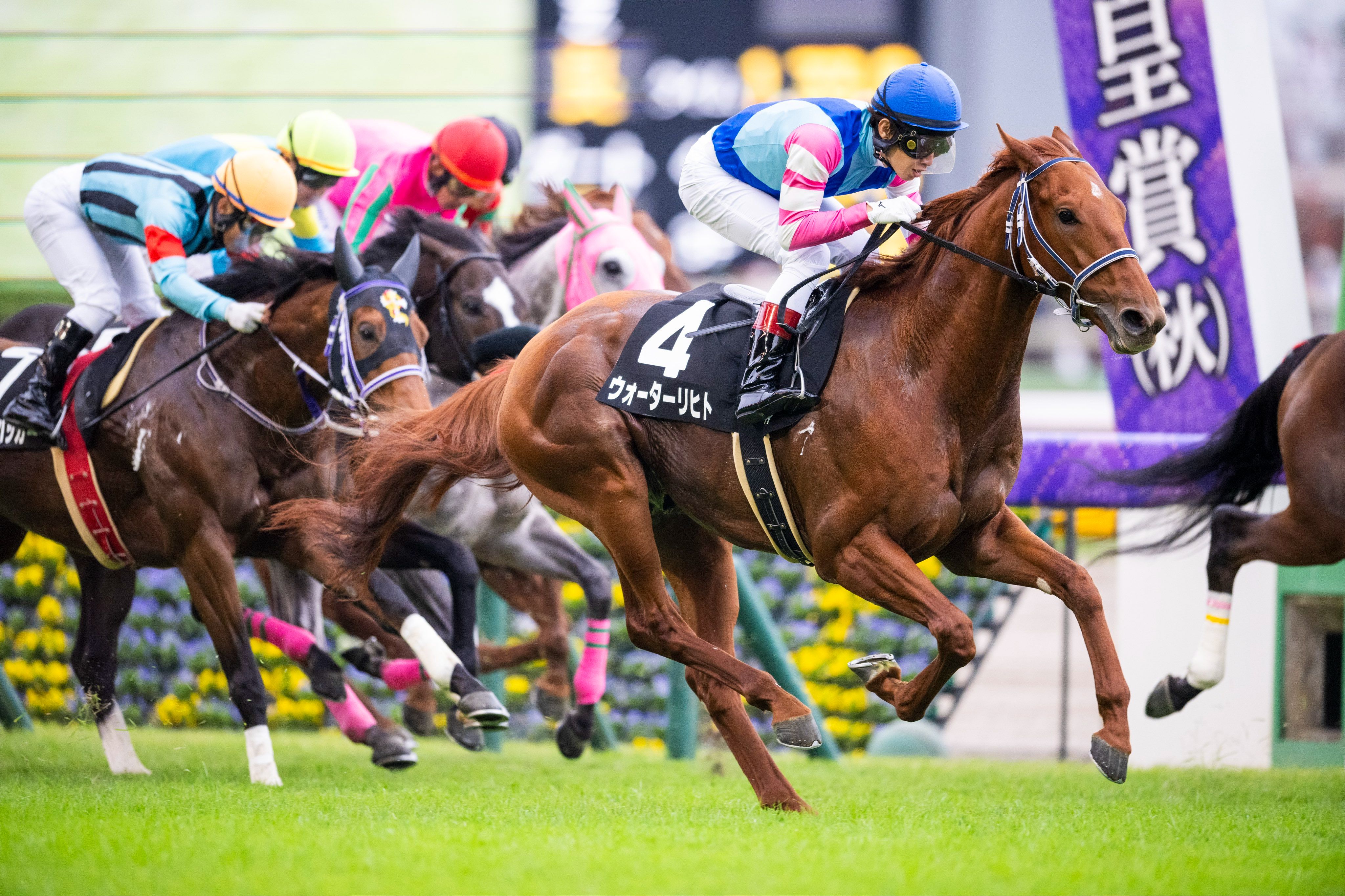 关于马赛主场惜败,状态低迷待提升的信息 关于马赛主场惜败,状态低迷待提升的信息