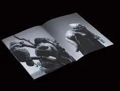 诺维奇城对决梳士巴，妥妥弥补洋枪头集火不愤