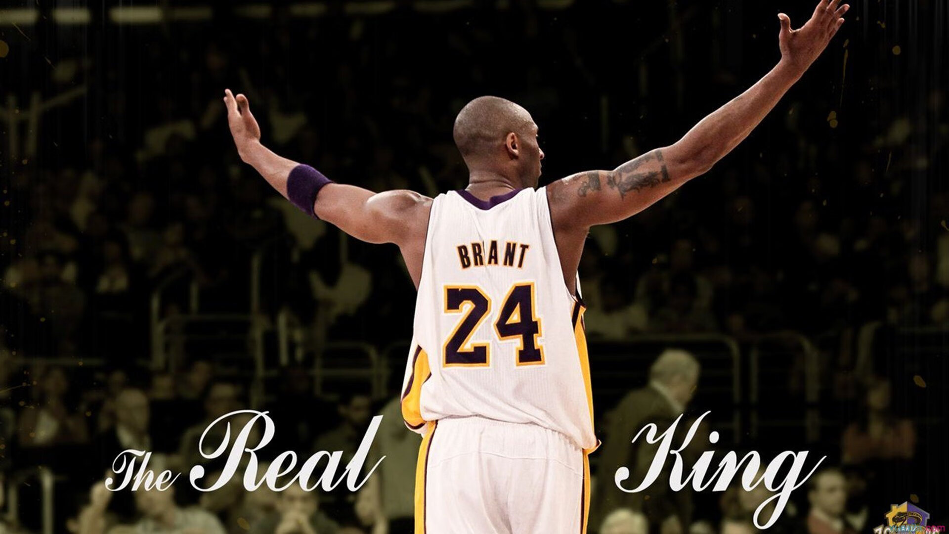 步行者对阵深圳队,贝恩用实力证明自己,从默默无闻到赛场焦点